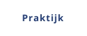 Praktijk