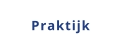 Praktijk