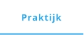 Praktijk